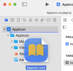 Adding an AppIcon icon file to the Xcode project navigator