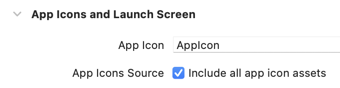 App target setting primary app icon set name with value AppIcon