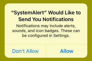 System alert would like to send you notifications