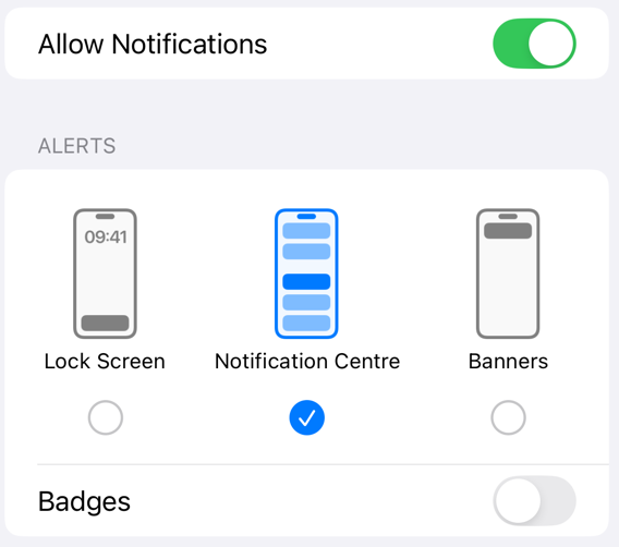 Allow notifications to the notification centre. Do not allow badges