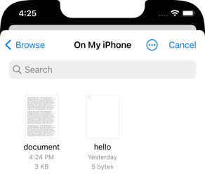 File picker with two documents