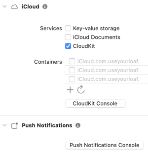 iCloud capability with CloudKit selected