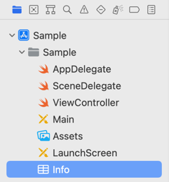 Xcode Project Navigator showing Info.plist file
