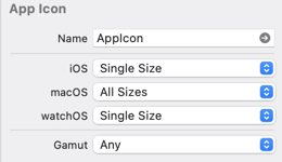 App icon options with iOS and watchOS using single size and macOS using all sizes