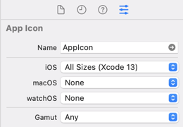 App icon options with iOS using all sizes (Xcode 13)